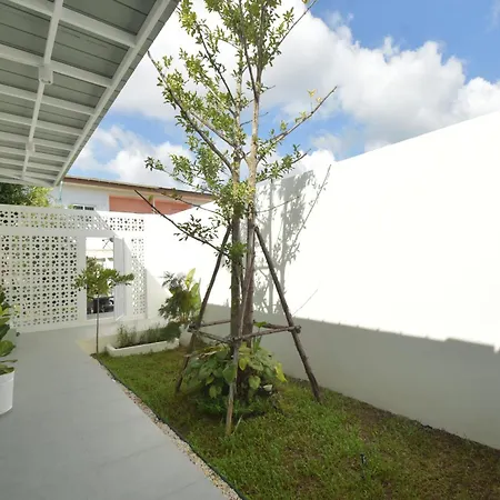 Self House-3